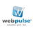 Webpulse Solution   Pvt Ltd 
