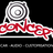 caraudio customisation