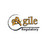 Agile Regulatory