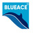 Blueace India Limited