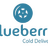 Blueberryfirst